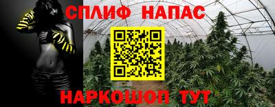 ешки Краснознаменск