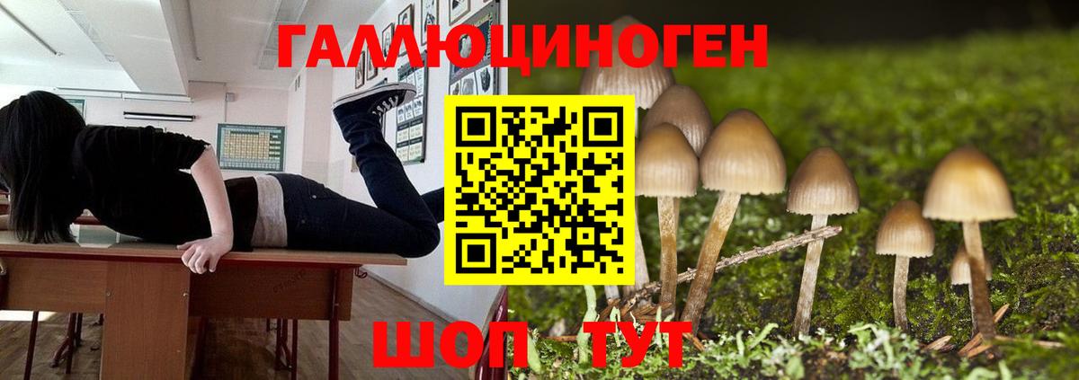 Псилоцибиновые грибы MAGIC MUSHROOMS Тулун